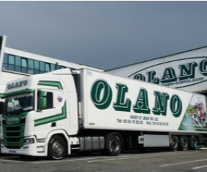 OLANO SERVICES