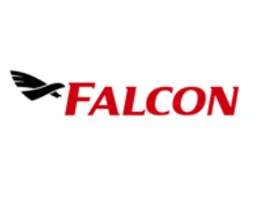 Falcon Airfreight Speditionsgesellschaft M.b.H.