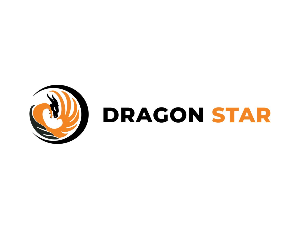 Dragon Star Shipping LLC