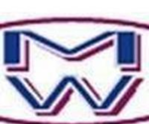 M And W CHINA LIMITED